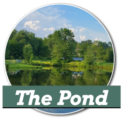 Cc Getaways Pond V2 1