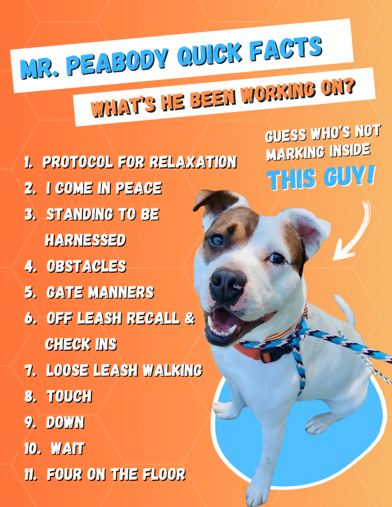 Cc Mrpeabody 1