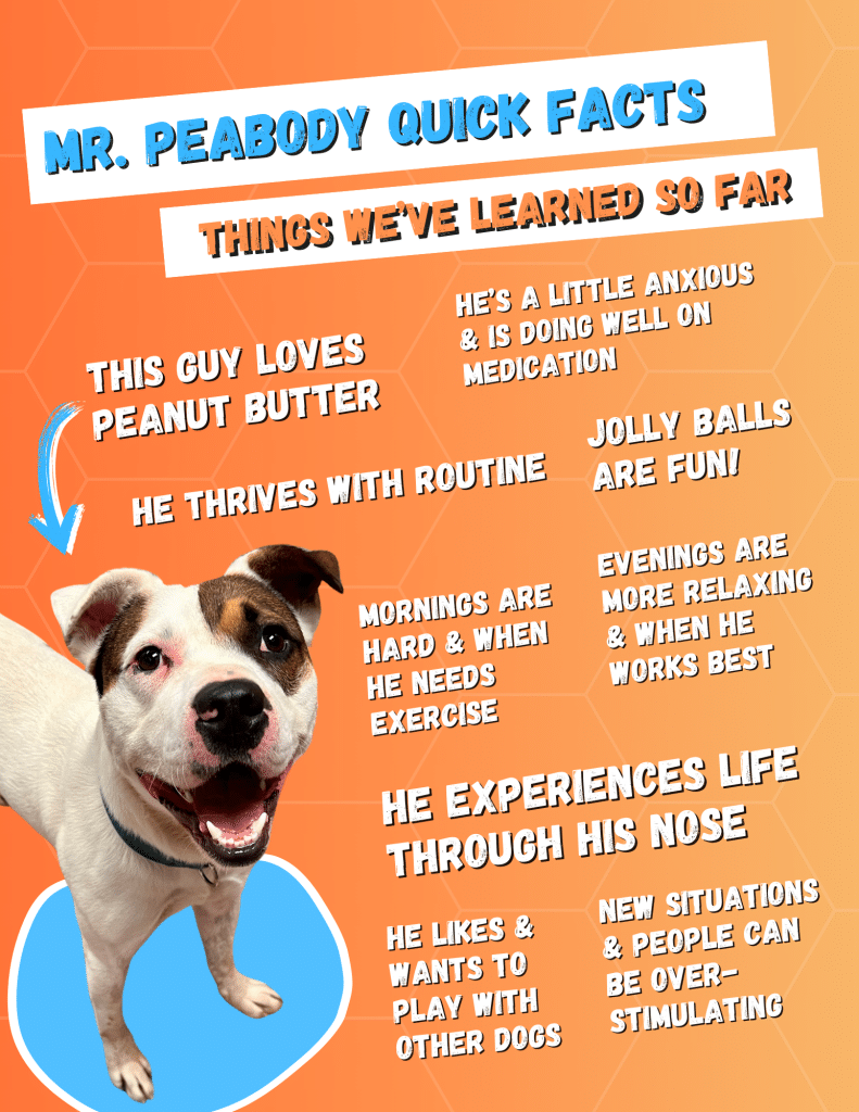 Cc Mrpeabody 2