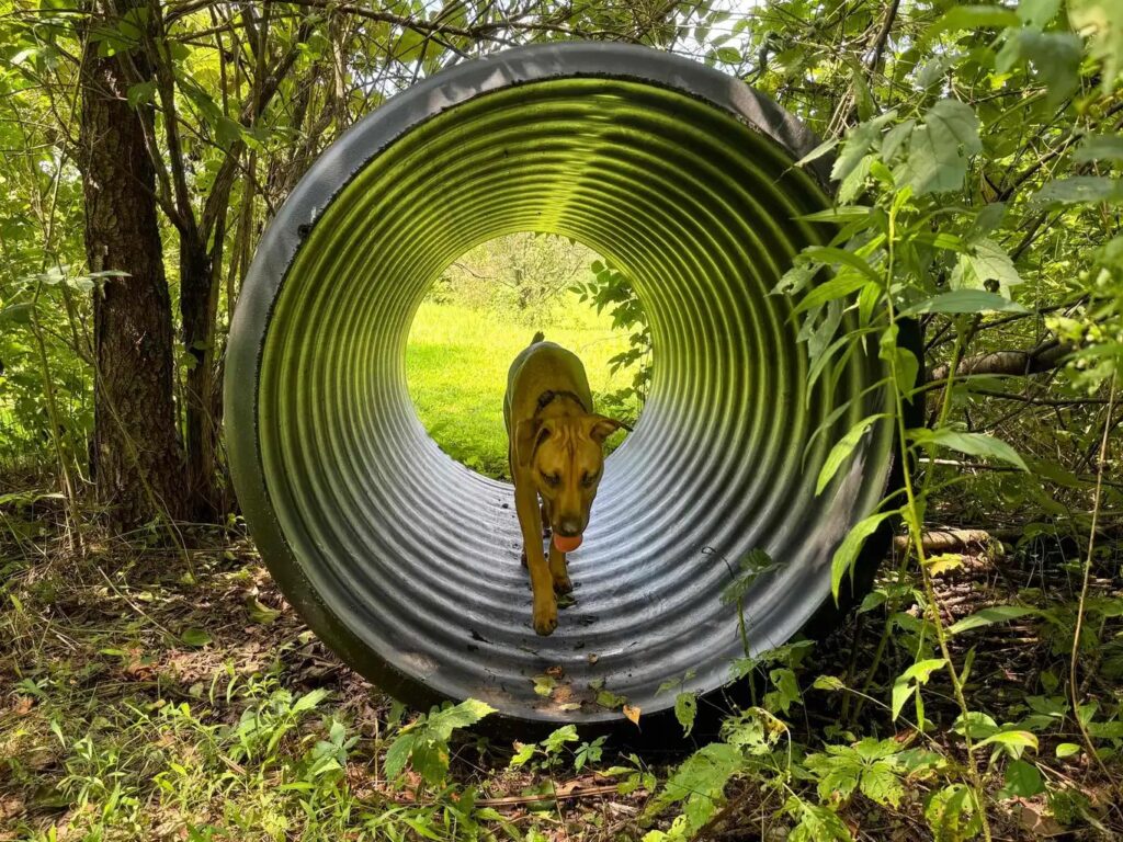 The Acres 5