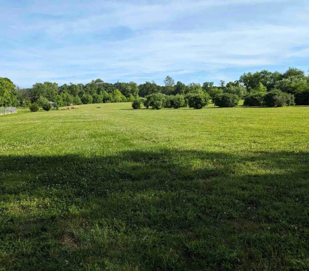 The Acres 6